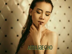 AmiliaEcho