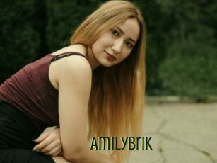 AmilyBrik