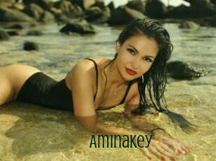 AminaKey