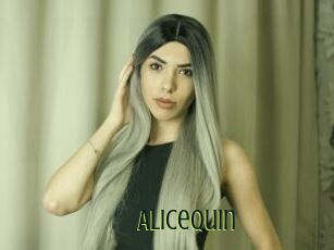 Alicequin