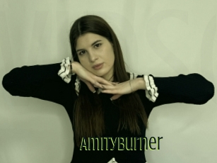 Amityburner