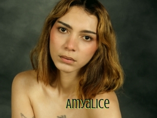 Amyalice