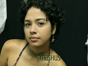 Anashus