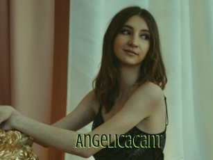 Angelicacant