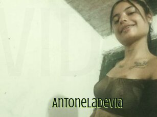 Antoneladevia