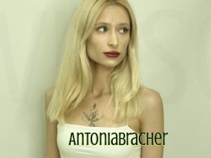 Antoniabracher