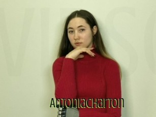 Antoniacharton