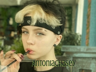 Antoniachasey