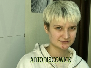 Antoniacowick