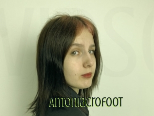 Antoniacrofoot