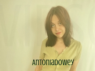 Antoniadowey