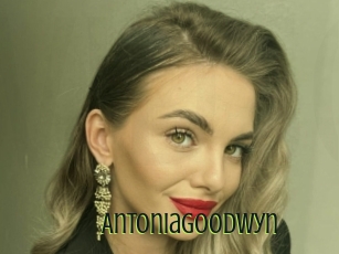 Antoniagoodwyn