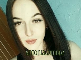 Antoniagrimble