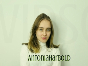 Antoniaharbold