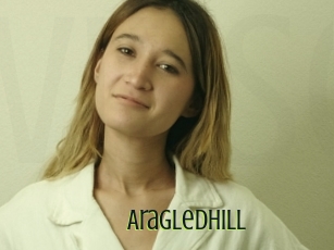 Aragledhill