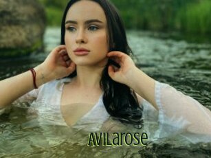 Avilarose