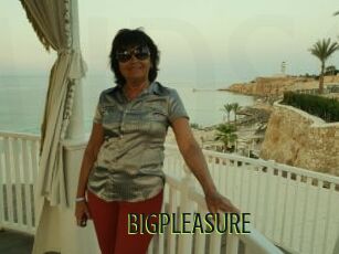 BIGPLEASURE