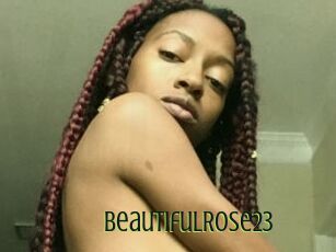 BeautifulRose23