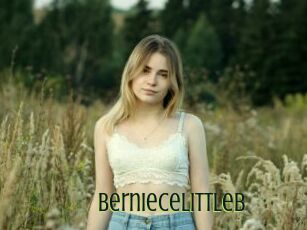 Berniecelittleb