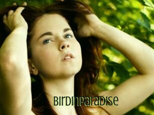 Birdinparadise