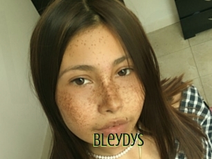 Bleydys