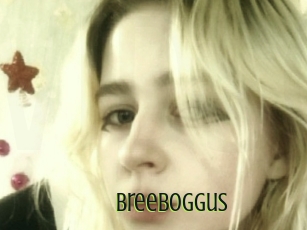 Breeboggus