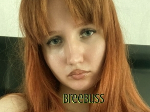 Breebuss