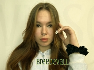 Breedevall