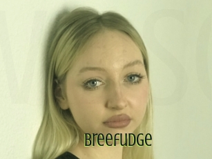 Breefudge