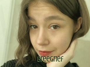 Breegrief