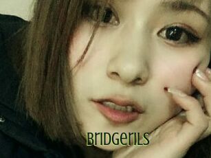 Bridgerils