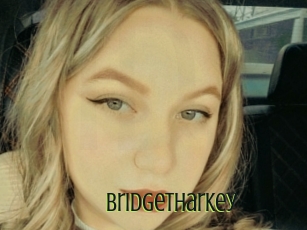 Bridgetharkey