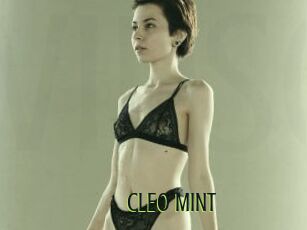 CLEO_MINT