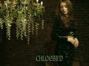 ChloeBird