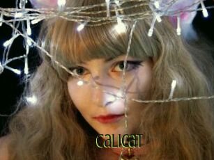 Calicat