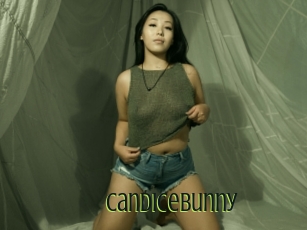 Candicebunny