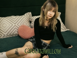 Carolinawillow