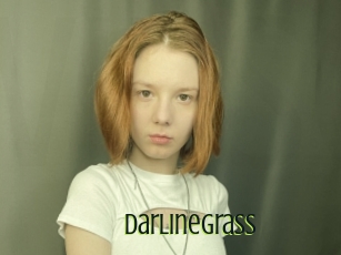 Darlinegrass