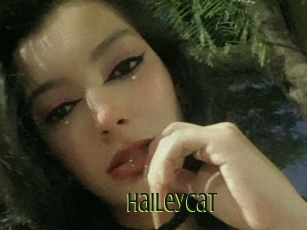 Haileycat