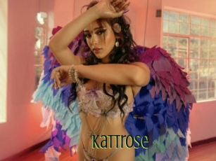 Kattrose