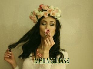 Meilssalissa