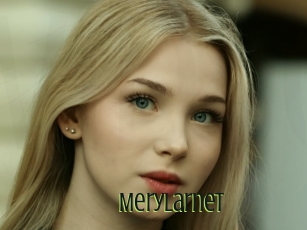 Merylarnet