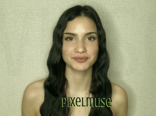 Pixelmuse