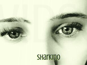 Sharkino