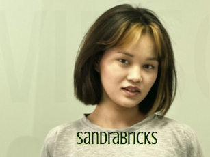 Sandrabricks