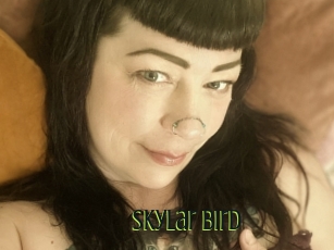 Skylar_bird