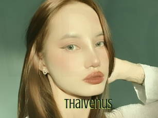 Thaivenus