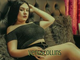 VenusCollins