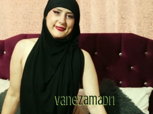 Vanezamadri