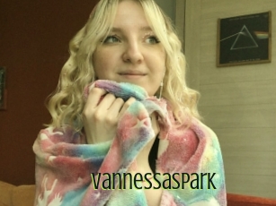 Vannessaspark